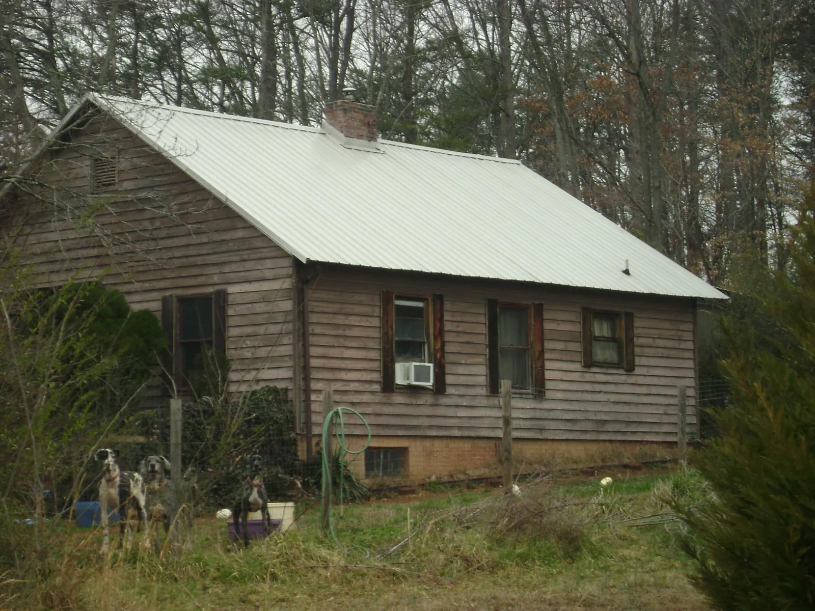 White metal roof on an old wood sided farmhouse, from a Metal Roof Installation job in Hayfork